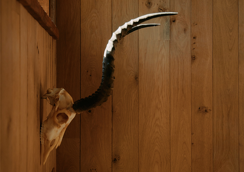 Crested Butte—Cabin